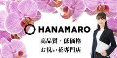 胡蝶蘭の通販サイト【HANAMARO】