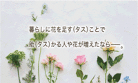 花の定期便【+hana　タスハナ】