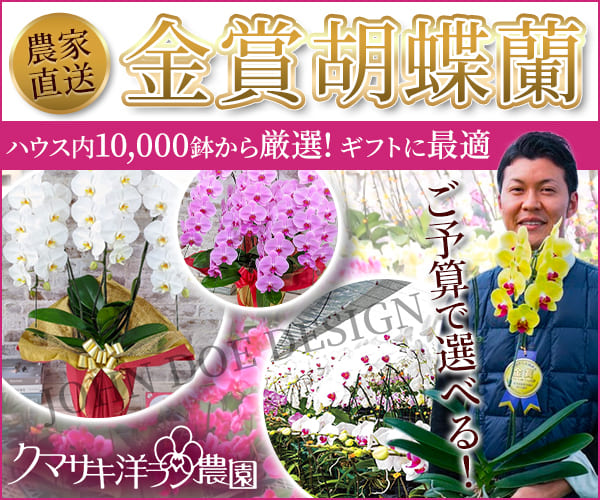 胡蝶蘭の3本立・5本立などお祝いギフトの通販、花の贈り物ならクマサキ洋ラン農園