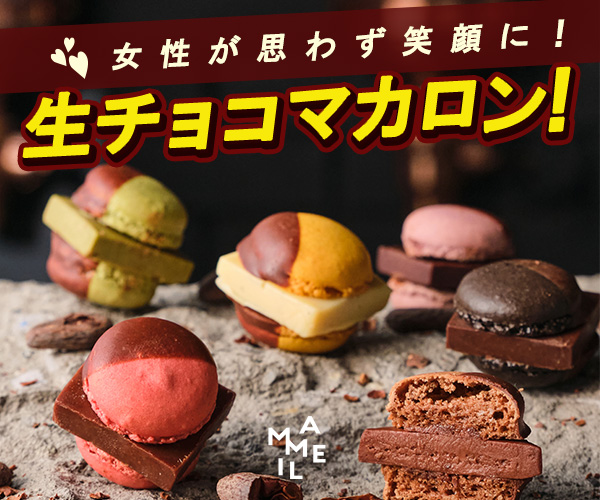 生チョコマカロン【MAMEIL NAMA CHOCOLATE MACARON】