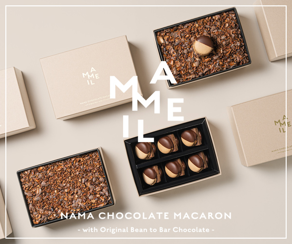 MAMEIL NAMA CHOCOLATE MACARON（マメイル ナマ チョコレート マカロン）