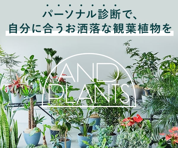 オAND PLANTS