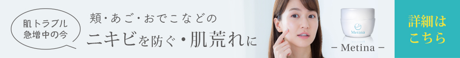 メティーナ